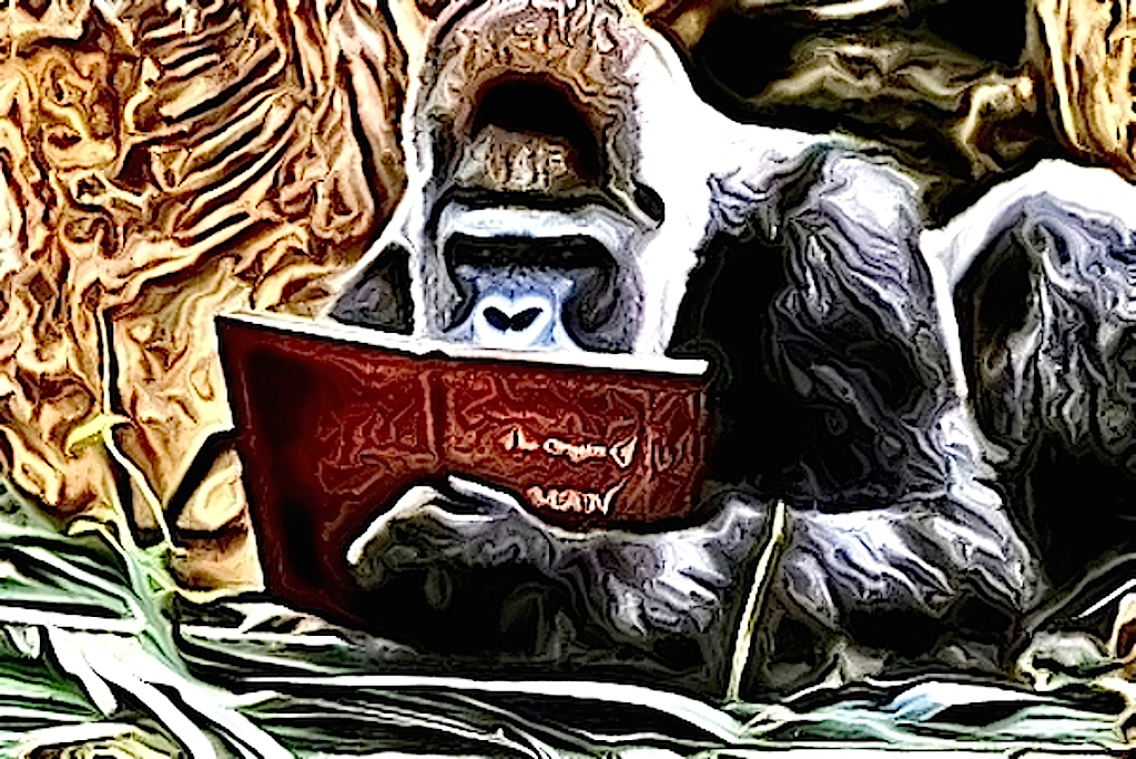 Chris, the story reading ape